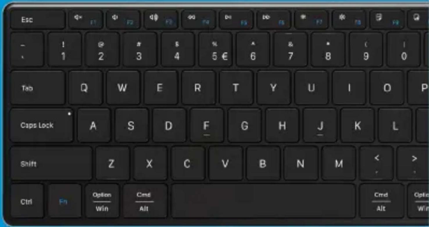 BlueBuilt BBWLBKPQ23 - Whoooo. - 1