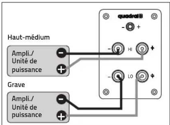 QUAD Quadral Aurum Titan - BORNES À VIS - 4