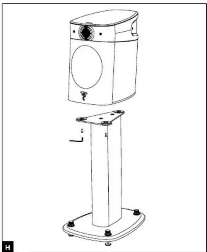 FOCAL Sopra N°2 - SOPRA™ - 2