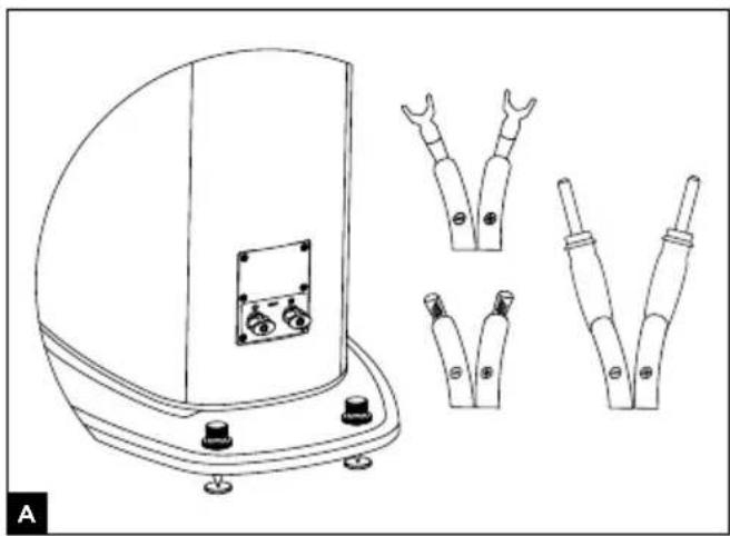 FOCAL Sopra N°2 - 1
