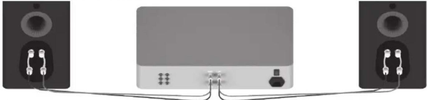 MONITOR AUDIO Platinum C250 3G - Single Wiring - 1
