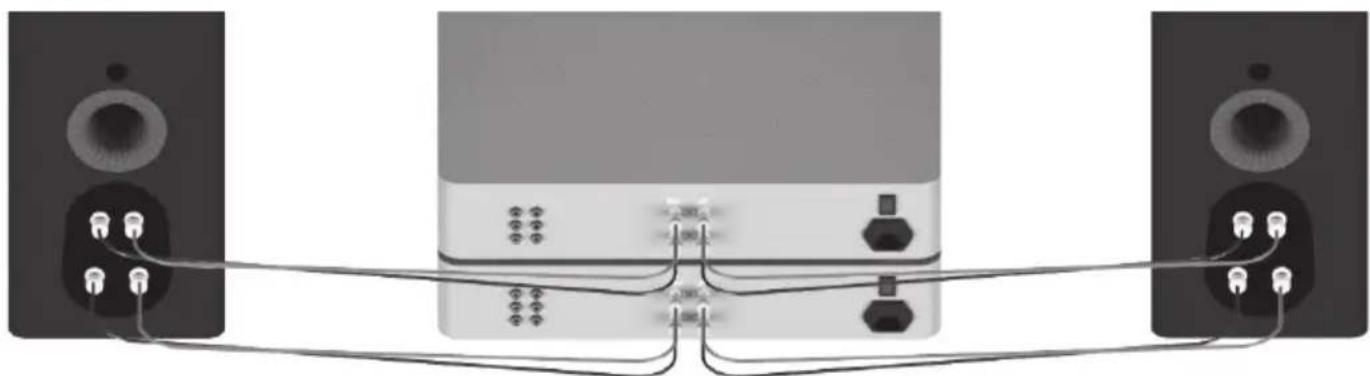 MONITOR AUDIO Platinum C250 3G - Bi-amping (dubbele versterking) - 1