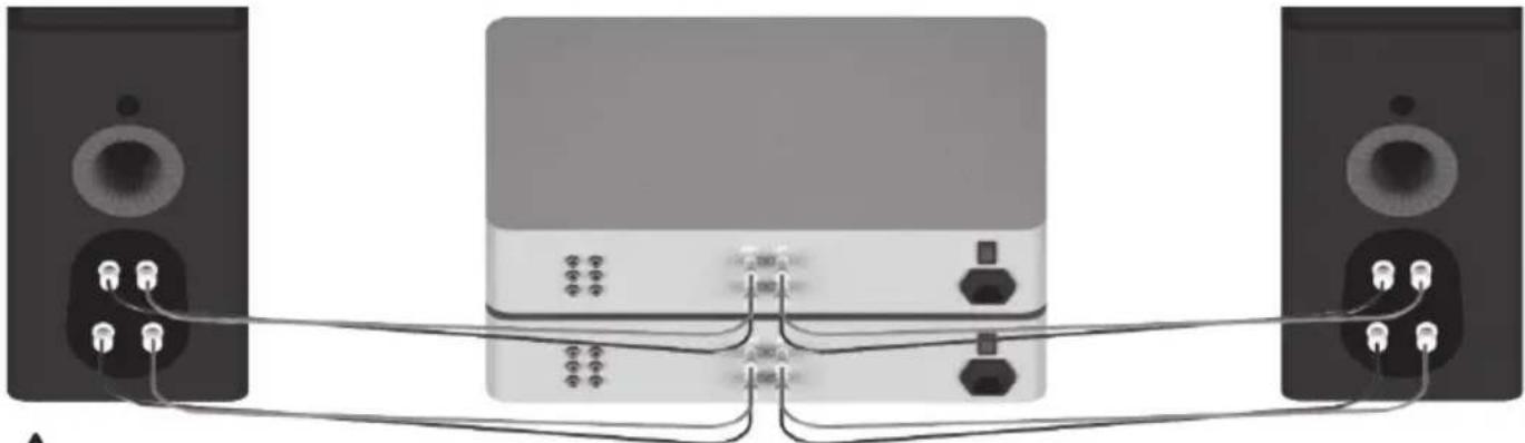 MONITOR AUDIO Platinum C250 3G - Bi-Amping - 1