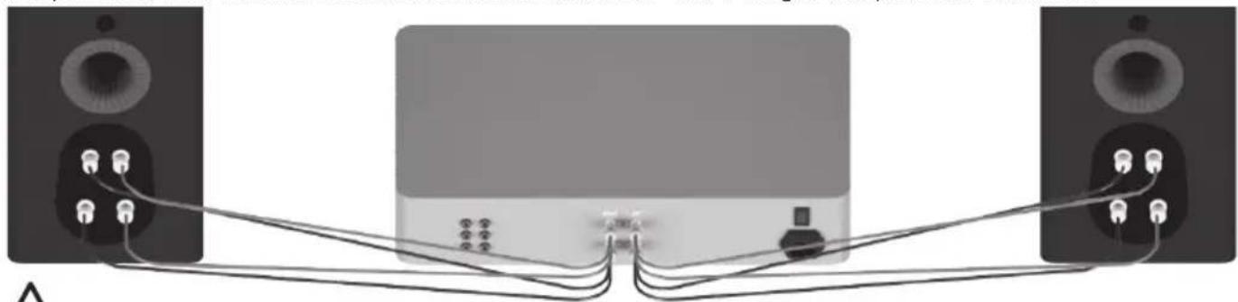 MONITOR AUDIO Platinum C250 3G - Bi-Verkabelung - 1