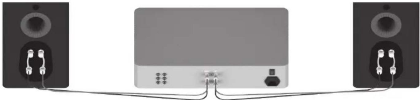 MONITOR AUDIO Platinum C250 3G - 单接线 - 1