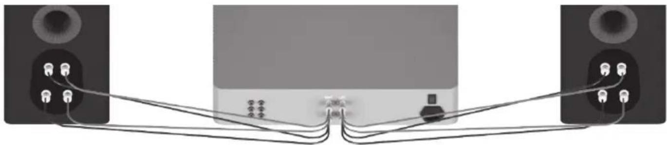MONITOR AUDIO Platinum C250 3G - Bi-wiring (dubbele bedrading) - 1