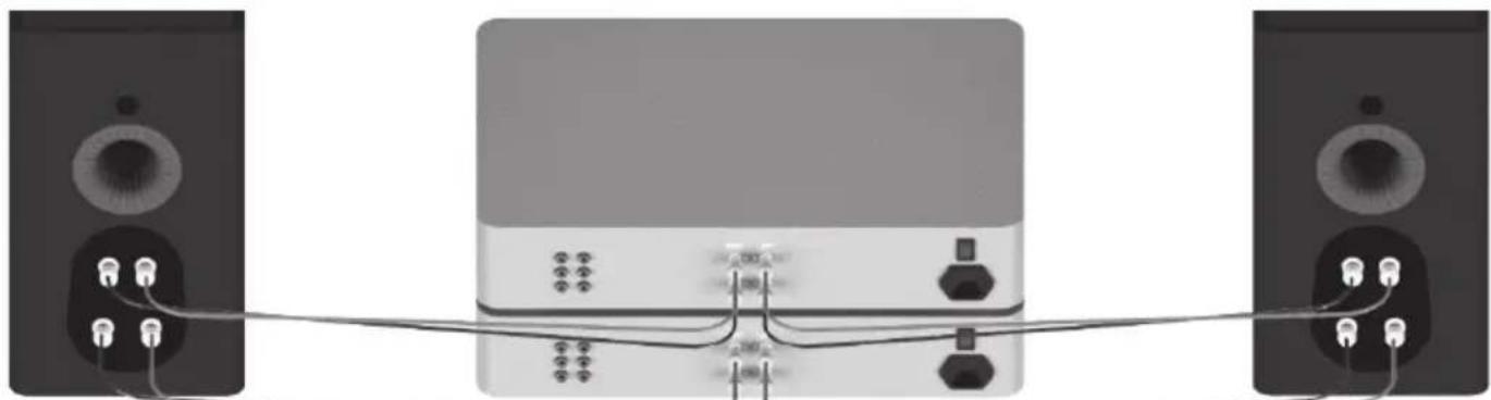 MONITOR AUDIO Platinum C250 3G - Bi-Amping - 1
