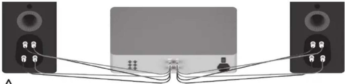 MONITOR AUDIO Platinum C250 3G - Câblage double - 1