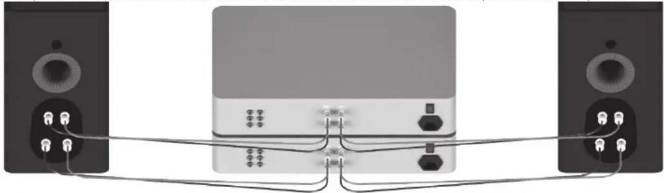 MONITOR AUDIO Platinum C250 3G - Bi-amplification - 1