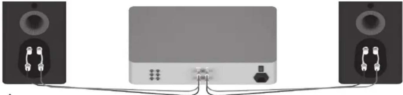 MONITOR AUDIO Platinum C250 3G - Single Wiring - 1