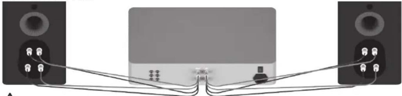 MONITOR AUDIO Platinum C250 3G - Bi-wiring - 1