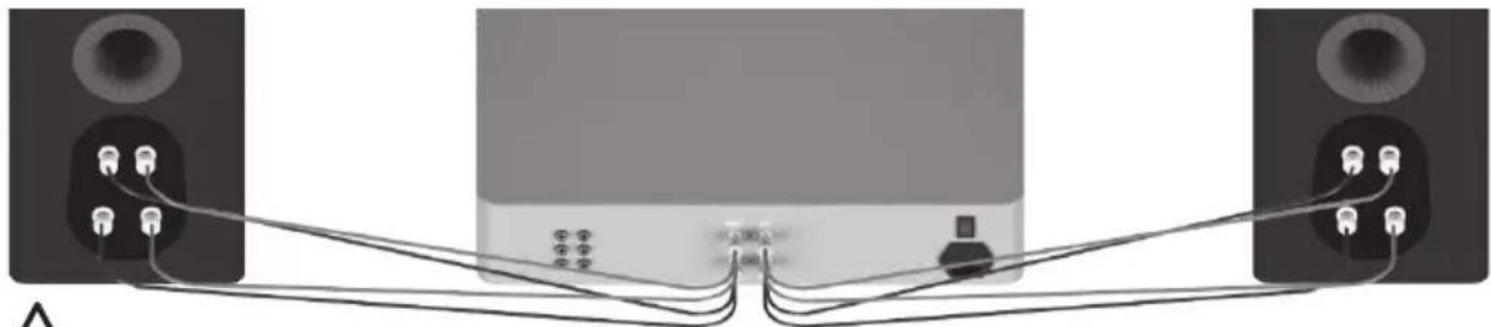 MONITOR AUDIO Platinum C250 3G - Bi-Wiring - 1