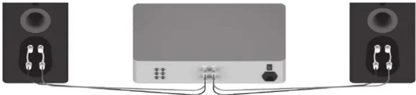MONITOR AUDIO Platinum C250 3G - Cablagem simples - 1