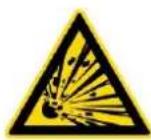 Endress ESE 506 DHS-GT - Exhaust gases can cause fatal asphyxiation. - 1