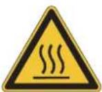 Endress ESE 506 DHS-GT - Potensielt eksplosive materialer - 2