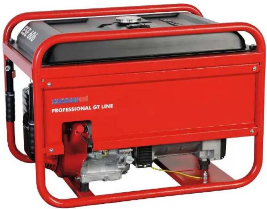 Endress ESE 506 DHS-GT - BRUKSANVISNINGER - 1