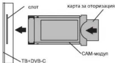 Kivi 24H500LB - CbbP3BAHE HA KAPTA 3A YCIOBEH IOCTbI CI - 2
