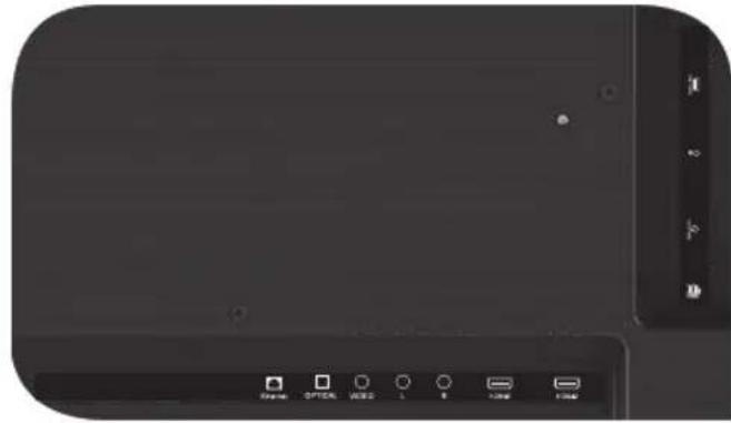 Kivi 24H500LB - CONECTAREA DISPOZITIVELOR - 1