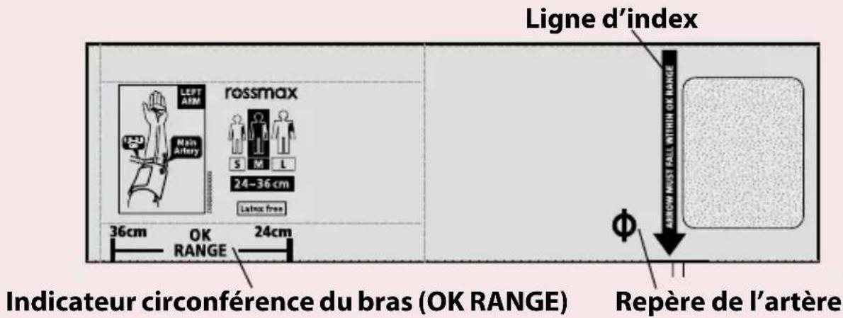 Rossmax X9 BT - Mise en place du brassard - 4