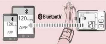 Rossmax Z5 - Transfert de données via Bluetooth® - 2
