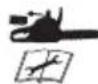 Grizzly AKS 2040-25 Lion Set - Symbols used on the saw - 12