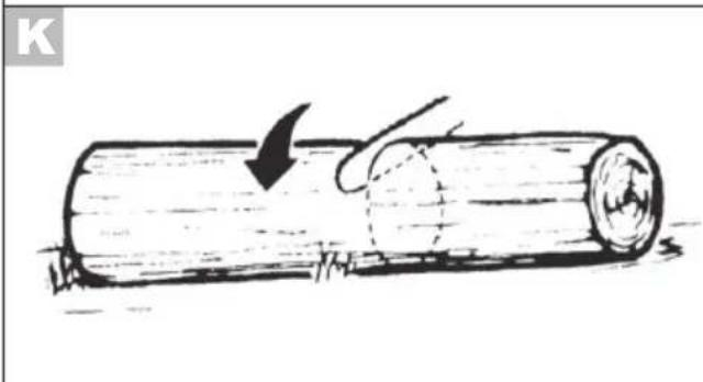 Grizzly AKS 2040-25 Lion Set - 2