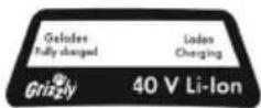 Grizzly AHS 4055 Lion Set - Symbols on the recharger - 8