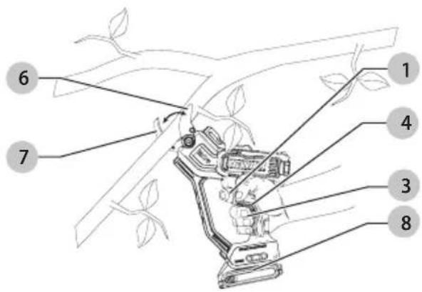 DEWALT DCMPP568 - 2