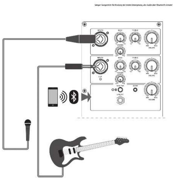 BEHRINGER B1C - HAFTUNGSAUSSCHLUSS - 2