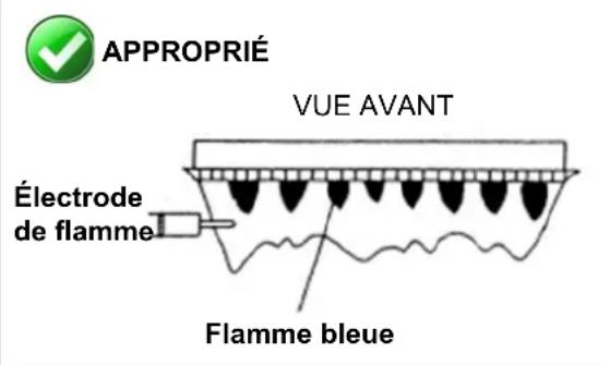 Rinnai RX160iN - INSPECTION VISUELLE DE LA FLAMME - 1