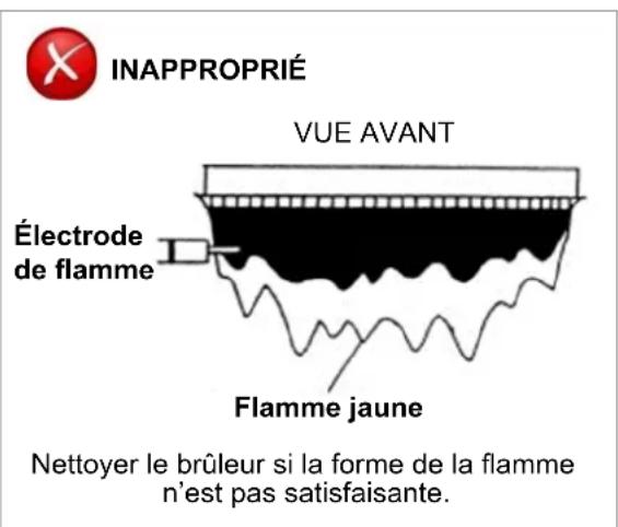 Rinnai RXP160iN - INSPECTION VISUELLE DE LA FLAMME - 2