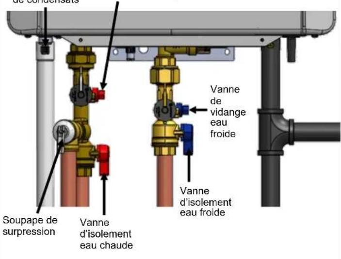 Rinnai RXP160iN - Lorsque le chauffe-eau ou les conduites extérieures ont gelé: - 1