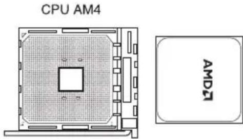 ASUS ProArt B550-CREATOR - Socket du processeur - 2