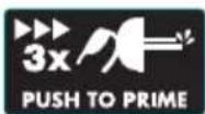 Grizzly BRM4615-22A E-Start - Symbol on petrol pump: - 1