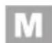 Grizzly BRM4615-22A E-Start - Uruchamianie i zatrzymywanie silnika - 8