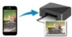 CANON PIXMA TR7650 - Procédure de retrait des résidus poussiéreux : - 6