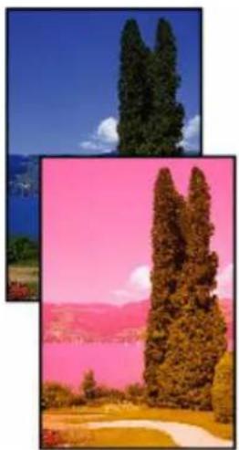 CANON PIXMA TR7650 - Les impressions sont vierges/floues ou troubles/couleurs inexactes ou bavures/traces ou lignes - 4