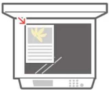 CANON imageRUNNER ADVANCE C3530i ES - Placing Original Documents on the Platen Glass - 1