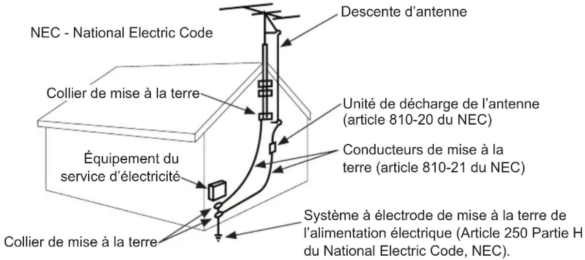Peerless-AV Neptune NT654 - Code de l'électricité - 1