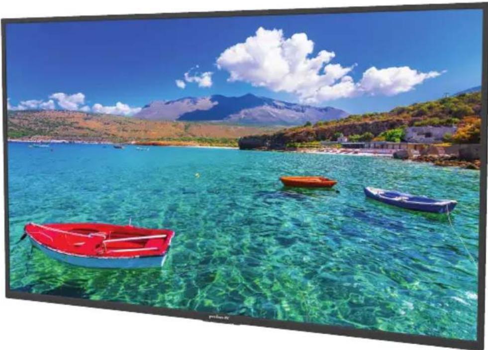 Peerless-AV Neptune NT554 - TV intelligente extérieure plein soleil - 1