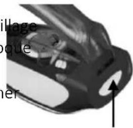 Hage que er
