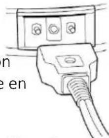 Brentwood DF-725 - Avant la première utilisation - 1