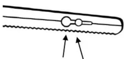 Brentwood TS-1010 - Antes del Primer Uso: - 1