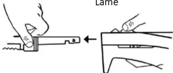 Larle