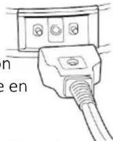 Brentwood DF-720 - Avant la première utilisation - 1