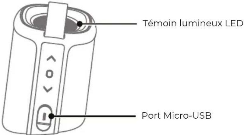 Témoin lumineux LED Port Micro-USB