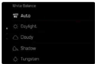 White Balance AUTO AUTO Daylight Cloudy Shadow Tungsten