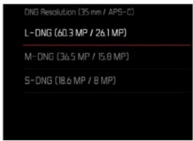 DNG Resolution (35 mm / APS-C) L-DNG (60.3 MP / 26.1 MP) M-DNG (36.5 MP / 15.8 MP) S-DNG (18.6 MP / 8 MP)