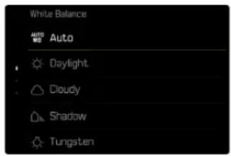 White Balance Auto Daylight Cloudy Shadow Tungsten