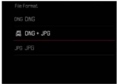 File Format. DNG DNG JPG DNG DNG + JPG JPG JPG
